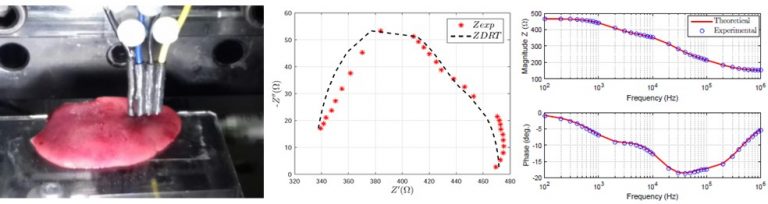 Sistema de espectroscopía de impedancia para estudio de tejido biológico