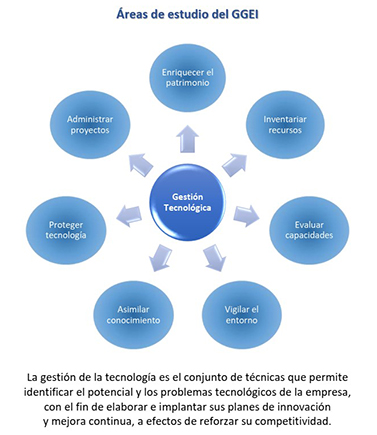 Areas de estudio del GGEII