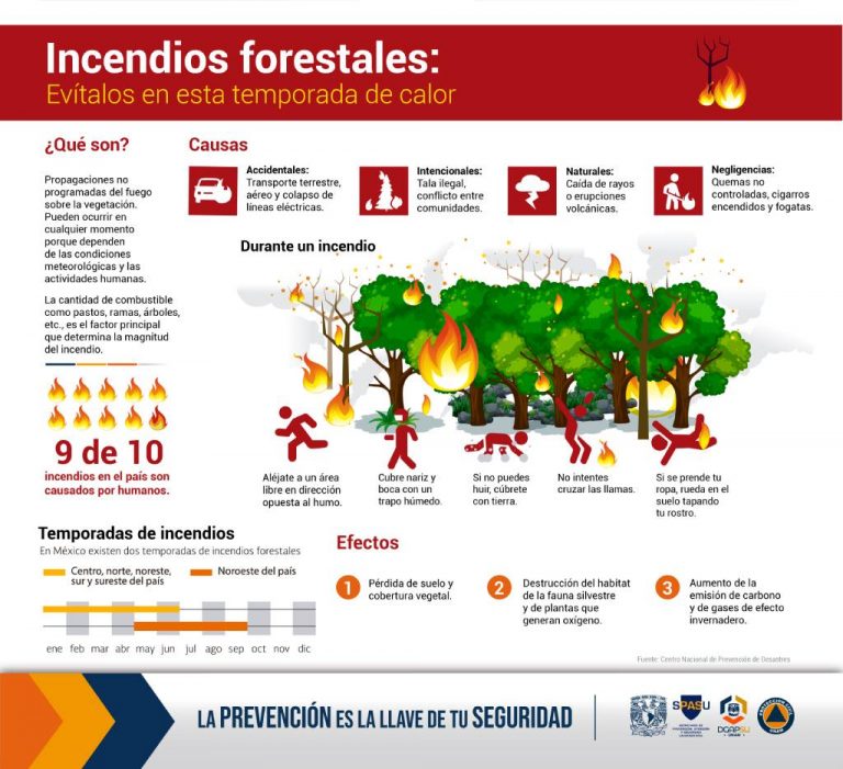 incendios forestales