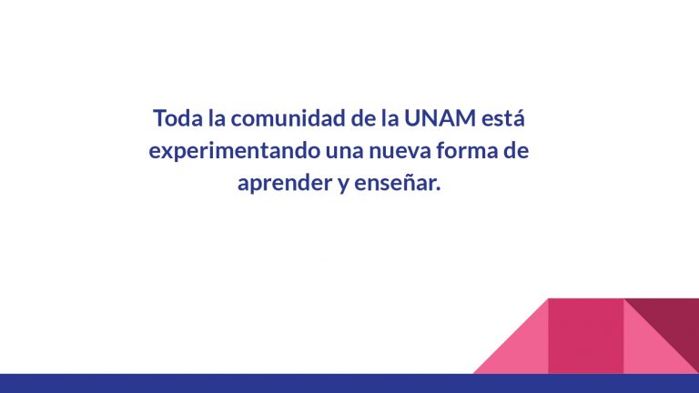 rol estudiante_page-0004