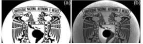 (c) Un-rolled null screen to test an aspheric reflective surface under test. Images from reference: D. Aguirre-Aguirre, M. Campos-García, R. Díaz-Uribe and B. Villalobos-Mendoza, “General equations for the null-screen test for aspherical surfaces with deformation coefficients,”Appl. Opt., 57, 10230-10238, (2018).