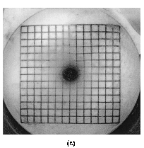 (c) Image recorded after reflection n the surface under test. Images from reference: R. Díaz-Uribe and M. Campos-García, “Null-screen testing of fast convex aspheric surfaces,”Appl. Opt., 39, 2670-2677, (2000).