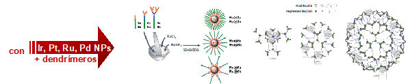 Study of the interaction macromolecule-metallic nanoparticles