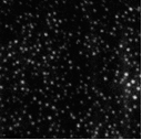 EM image of graphene oxide decorated with silver nanoparticles (d=5 nm)